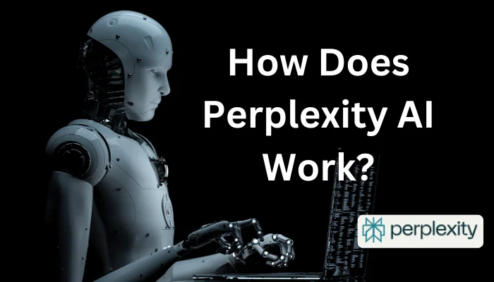 How Does Perplexity AI Work?