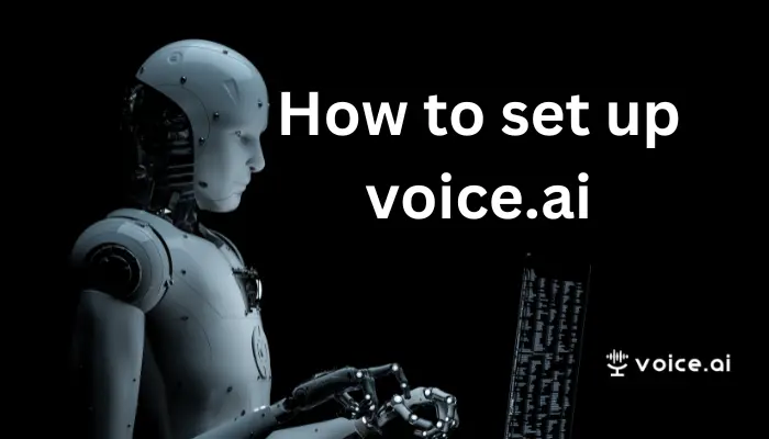 how to set up Voice ai