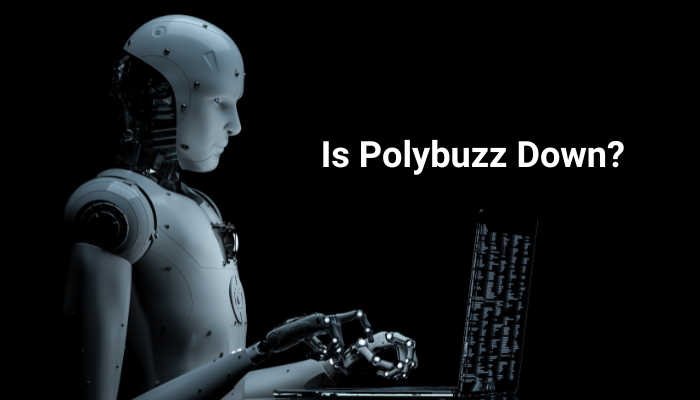 Is Polybuzz Down?